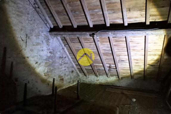 Maison avec grand jardin