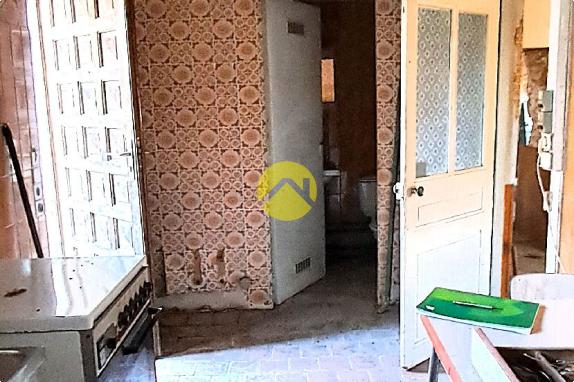 Maison avec grand jardin