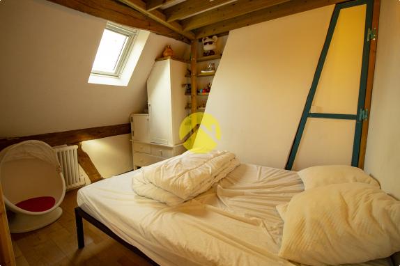 CHARMANTE SOLOGNOTE RENOVEE