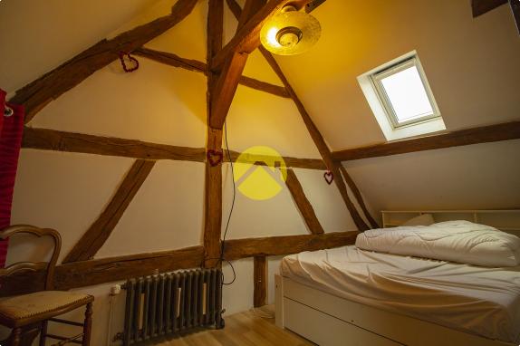 CHARMANTE SOLOGNOTE RENOVEE