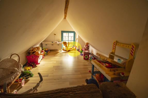 CHARMANTE SOLOGNOTE RENOVEE