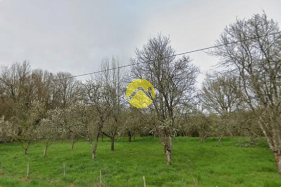 Terrain de Loisirs / Etang / Chalet Vailly sur sauldre, m2 à vendre