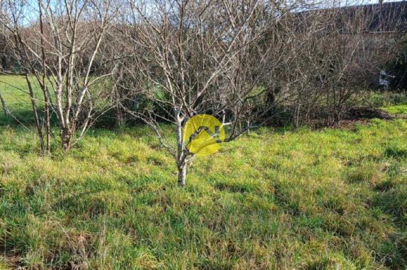 Petite maison à rénover