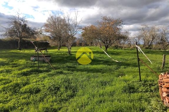 MAISON DE VILLAGE PAISIBLE