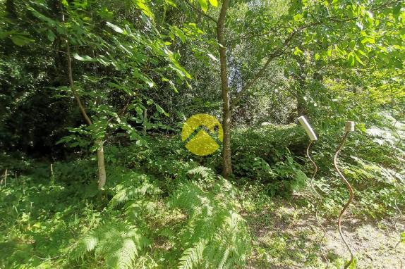 2 Maisons + 2 granges