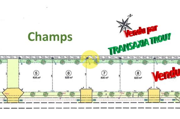 Terrain Constructible