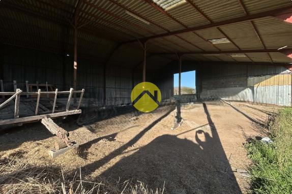  Fermette 1 hectare + Bâtiments
