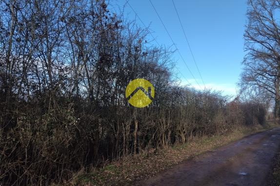 A bâtir proche étang et forêt