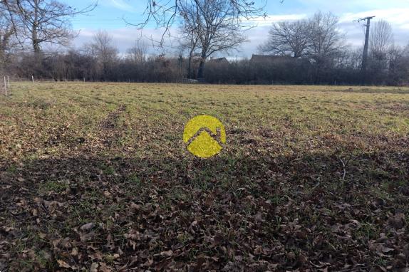 A bâtir proche étang et forêt