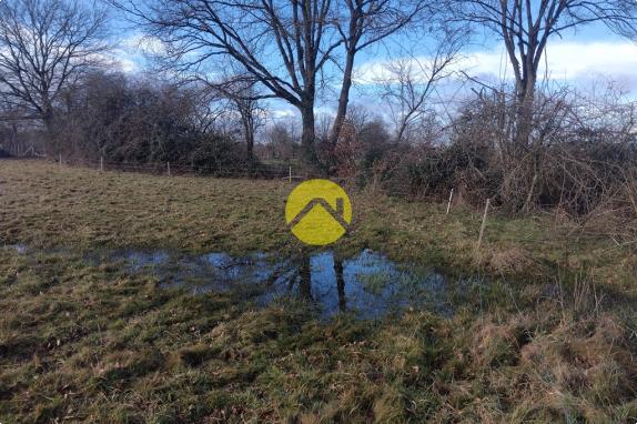 A bâtir proche étang et forêt