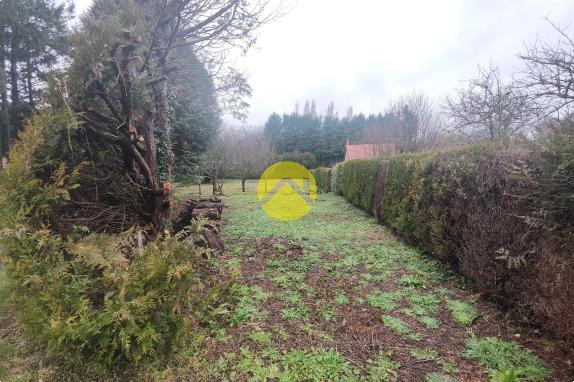 MAGNIFIQUE TERRAIN A LA CAMPAGNE 