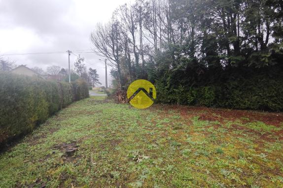 MAGNIFIQUE TERRAIN A LA CAMPAGNE 