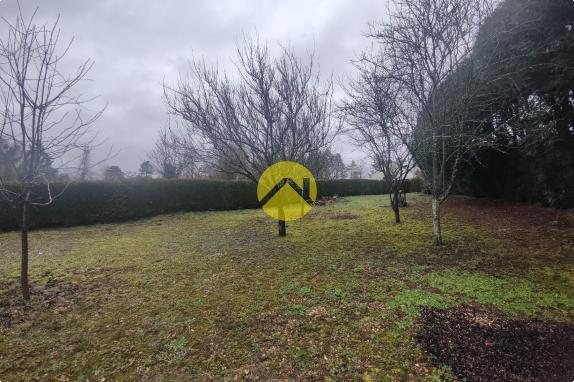 MAGNIFIQUE TERRAIN A LA CAMPAGNE 