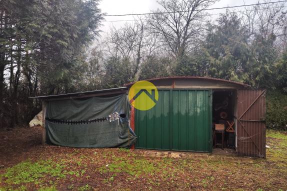 MAGNIFIQUE TERRAIN A LA CAMPAGNE 