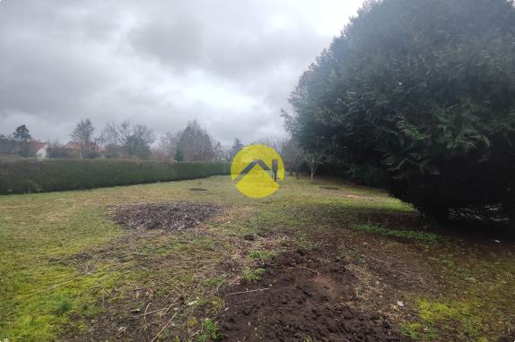 MAGNIFIQUE TERRAIN A LA CAMPAGNE 