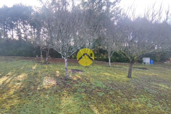 MAGNIFIQUE TERRAIN A LA CAMPAGNE 