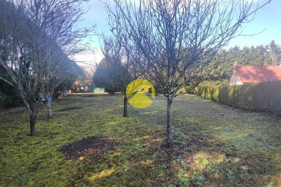 MAGNIFIQUE TERRAIN A LA CAMPAGNE 