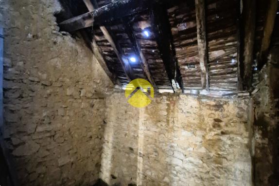 fort potentiel locatif