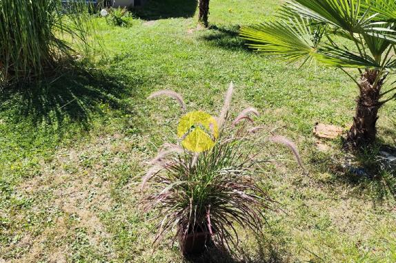 GRANDE MAISON FAMILIALE 5 CHAMBRES