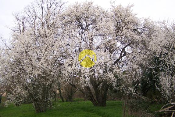 A RENOVER TOITURE NEUVE