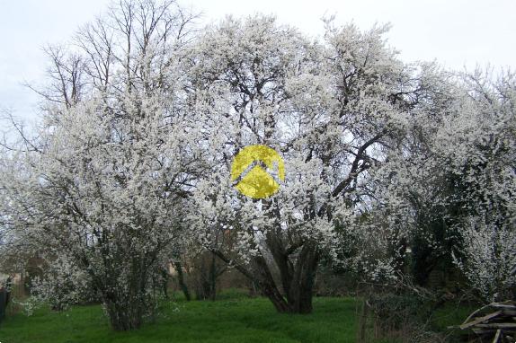 A RENOVER TOITURE NEUVE