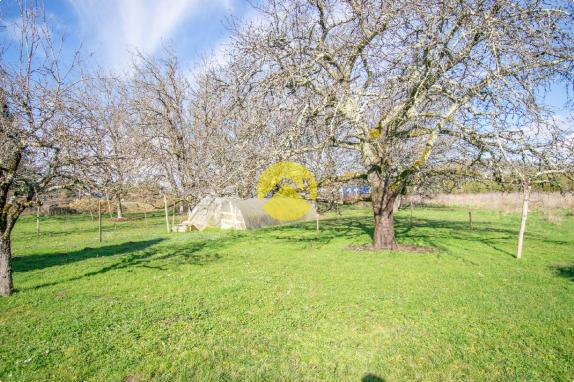 Ensemble de 2 maisons avec hangar