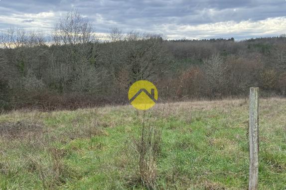 Agréable maison à découvrir 