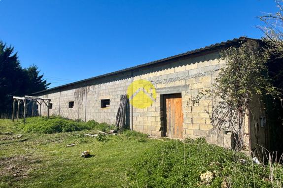 Maison perigourdine avec hangar 