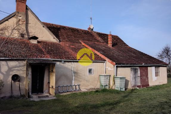 Forêt de Tronçais à 100m