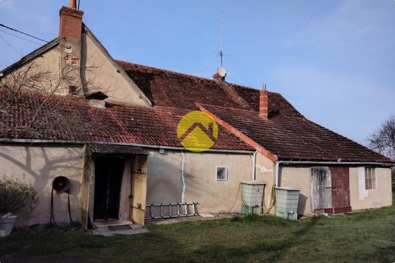 Forêt de Tronçais à 100m