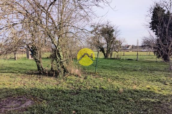 Forêt de Tronçais à 100m