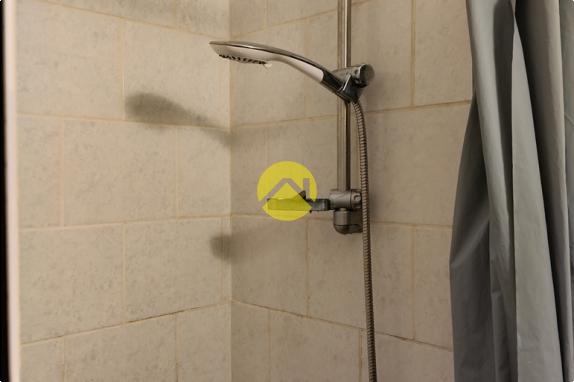 Forêt de Tronçais à 100m