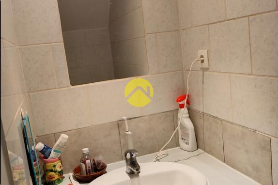 Forêt de Tronçais à 100m