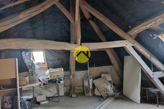 Forêt de Tronçais à 100m