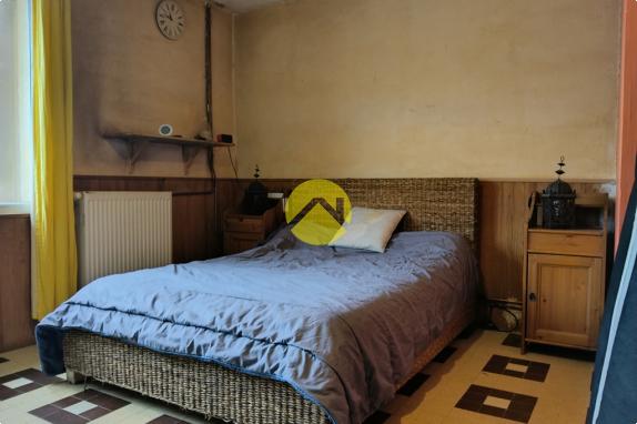 Forêt de Tronçais à 100m