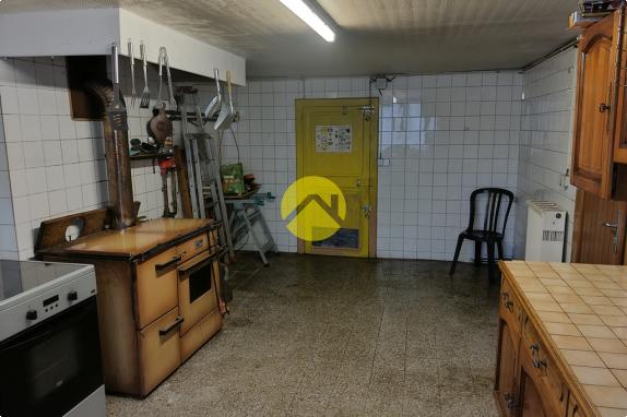 Forêt de Tronçais à 100m