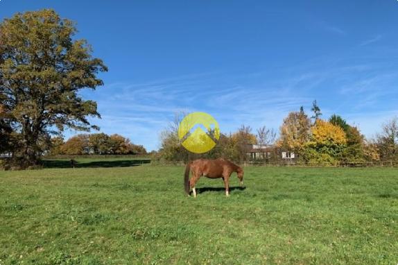 Un petit coin de paradis
