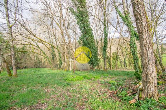 Belle maison 4ch avec piscine 