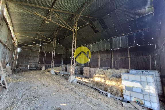 Terrain de 2 hectares