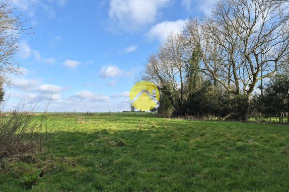 Terrain de 2 hectares