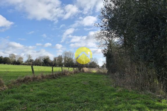 Terrain de 2 hectares