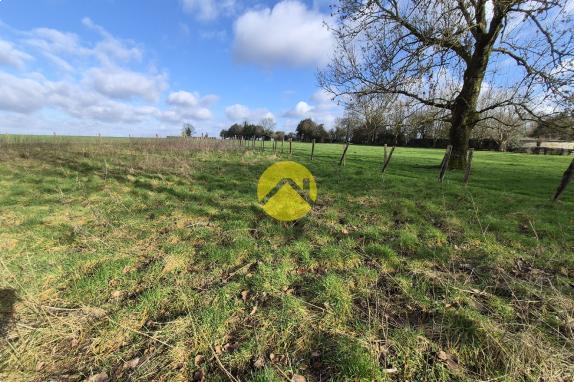 Terrain de 2 hectares