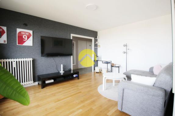 Appartement 3 pièces 