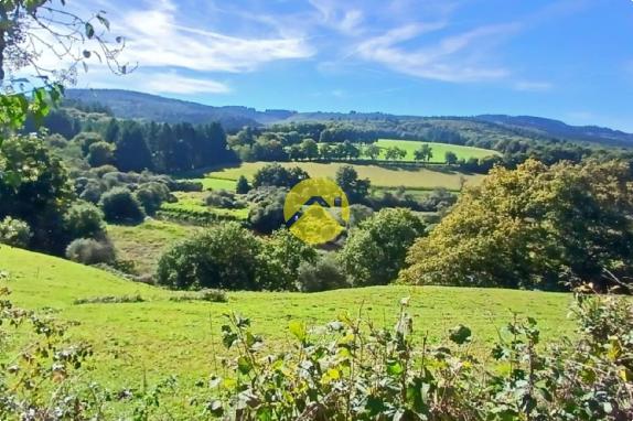 Vente à terme libre