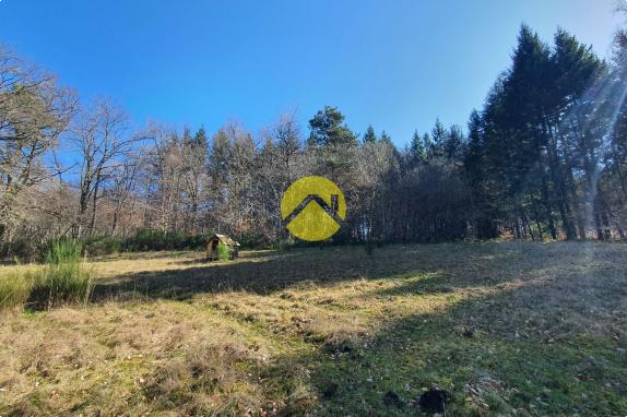 MAISON DE CARACTERE AU CALME