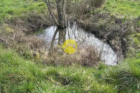 longère avec 4 ha de prairie