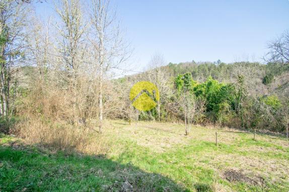 Maison charmante avec atelier