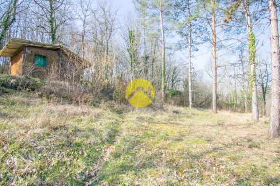 Maison charmante avec atelier