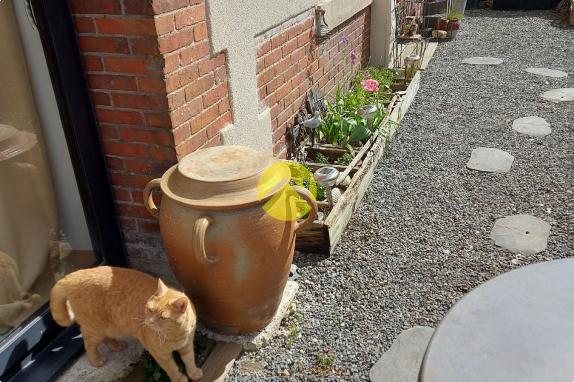 MAISON SECTEUR MARRONNIERS