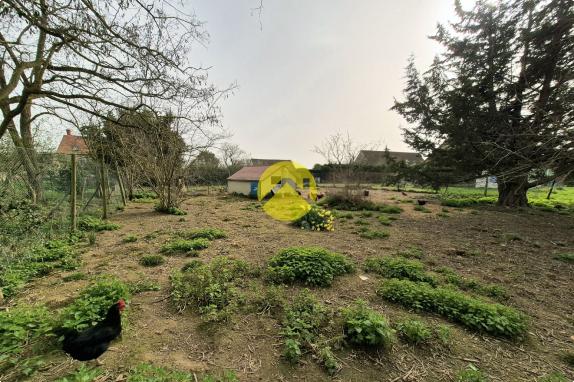  MAISON 200M² AVEC GRAND TERRAIN 